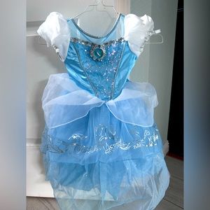 Disney Cinderella Costume